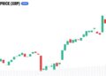 21Shares Builds XRP Case Around Utility, ETFs, and Fixed Supply