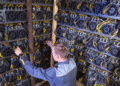 Zcash Price Spike Fuels Massive Mining Profits and Hashrate Boom