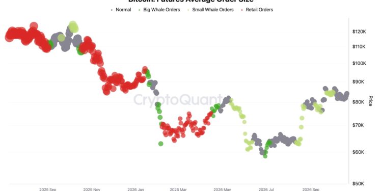Retail Traders Have Left Bitcoin Futures: Can BTC USD Sweep $80,000 and Bounce?