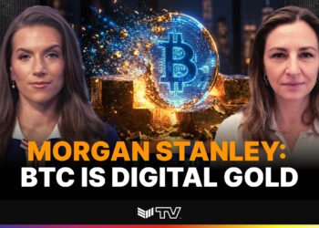 The Digital Gold Investment Case For Bitcoin