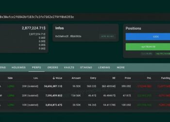 Hyperliquid Whale Down $9 Million This Week Flips to a 20x Tesla Bet