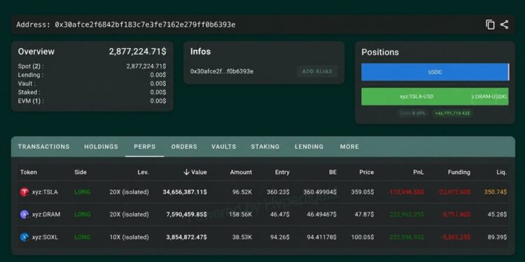 Hyperliquid Whale Down $9 Million This Week Flips to a 20x Tesla Bet
