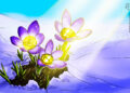 Bitwise CIO Sees ‘Crypto Spring’ in Q3 Market Rebound