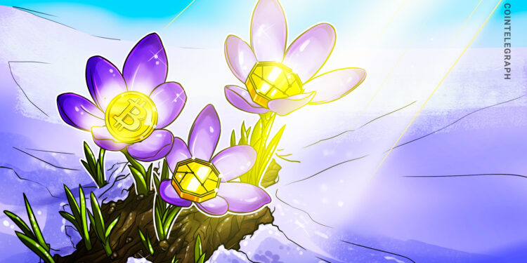 Bitwise CIO Sees ‘Crypto Spring’ in Q3 Market Rebound
