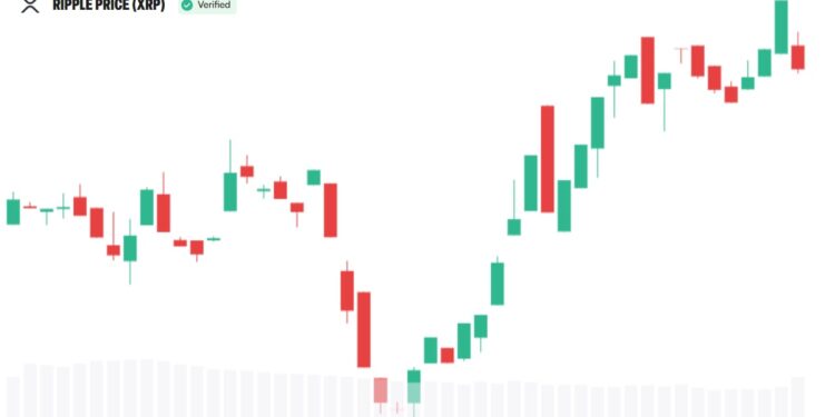 Why XRP Appeals to Institutional Investors, Bitwise CIO Explains